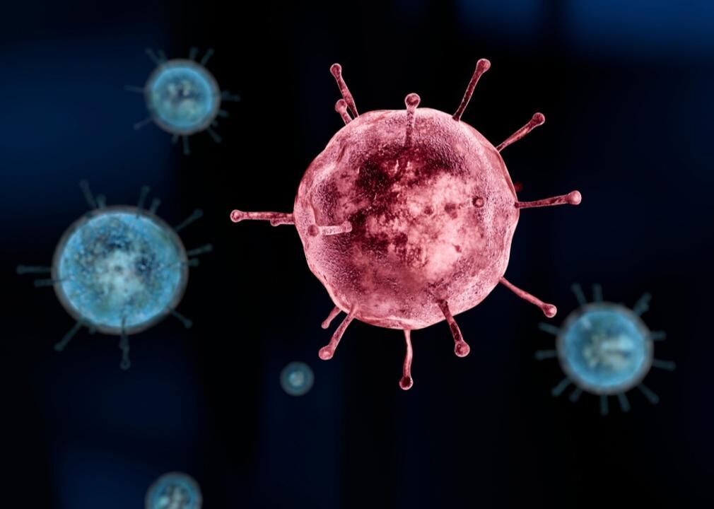 Flu shots contain inactivated flu viruses